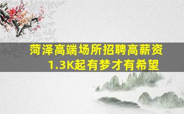 菏泽高端场所招聘高薪资1.3K起有梦才有希望